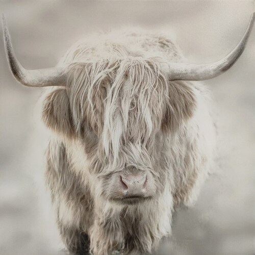 E&E Co. Ltd Canvas - Soft Solo Highland Perspective: front