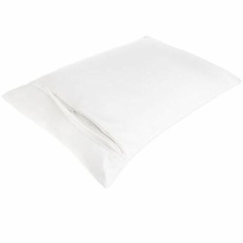 Claritin deals pillow protector