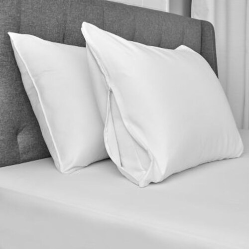 Standard vs queen online pillow