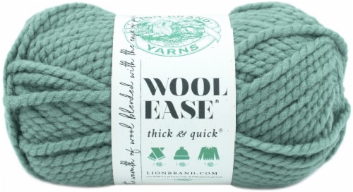 Lion Brand Wool-Ease Thick & Quick Yarn-Succulent, 1 count - City