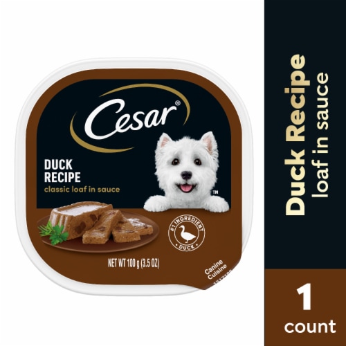 CESAR Classic Loaf in Sauce Duck Recipe Adult Wet Dog Food Perspective: front