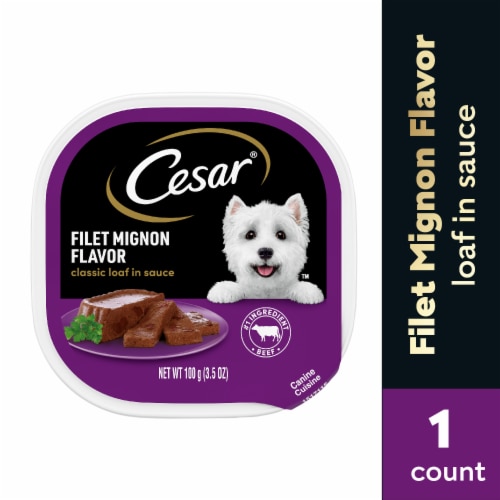 CESAR Classic Loaf in Sauce Filet Mignon Adult Wet Dog Food Perspective: front