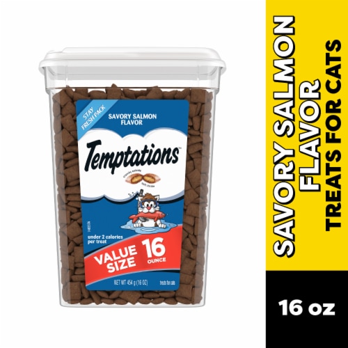 Temptations Classic Savory Salmon Flavor Crunchy and Soft Adult Cat Treats Perspective: front