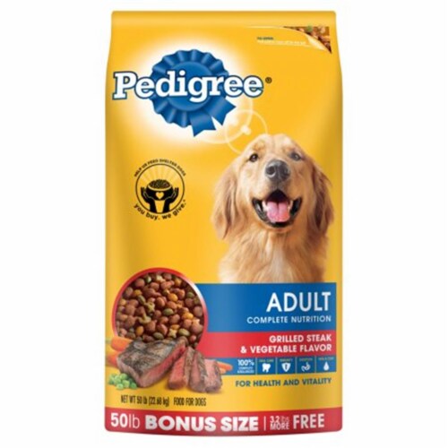 Pedigree Adult Complete Nutrition Grilled Steak & Vegetable Flavor Dry Dog Food Perspective: front