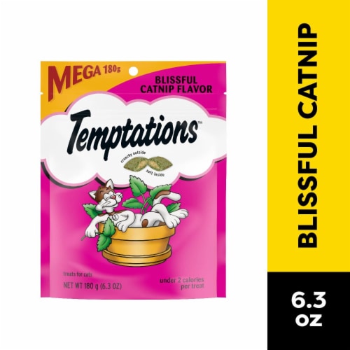 Temptations Classic Blissful Catnip Crunchy and Soft Adult Cat Treats Perspective: front