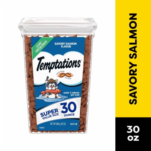 Temptations Classic Savory Salmon Flavor Crunchy and Soft Adult Cat Treats Perspective: front