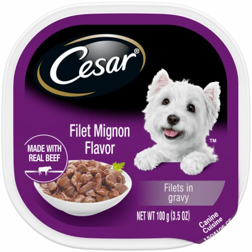 Filet mignon hotsell dog food