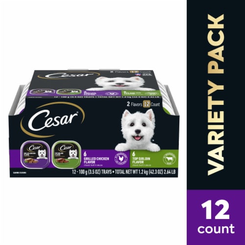 Cesar Top Sirloin and Grilled Chicken Adult Wet Dog Food Perspective: front