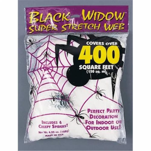 Fun World 13 in. Spider Web Halloween Decor Perspective: front