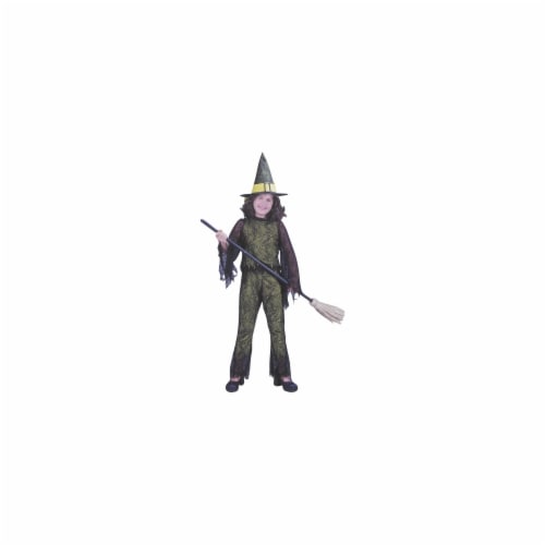 Costumes For All Occasions Fw8753Grmd Funky Witch Green Child Med Perspective: front