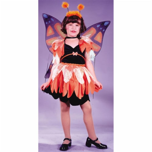 Costumes For All Occasions  Butterfly Costume Child Lrg Perspective: front