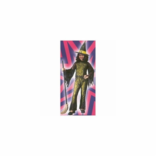 Costumes For All Occasions FW8753GRLG Funky Witch Green Child Lrg Perspective: front