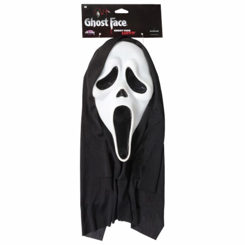 Fun World Ghost Face Mask with Shroud Halloween Costume Perspective: front