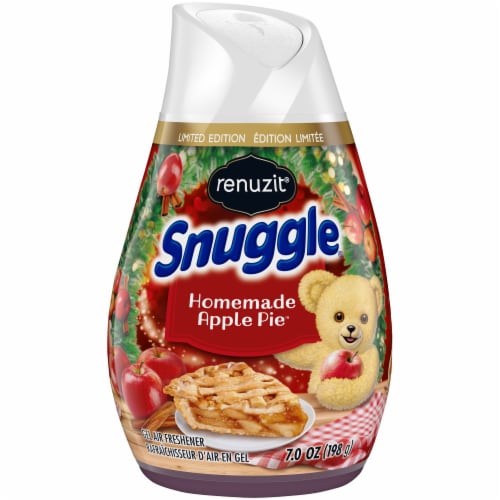 Renuzit Snuggle Homemade Apple Pie Gel Air Freshener Perspective: front