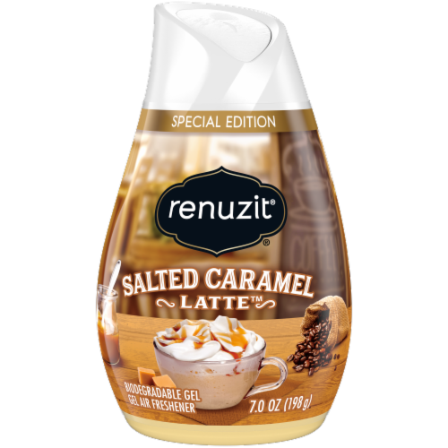Renuzit® Adjustables Salted Caramel Latte Gel Air Freshener Perspective: front