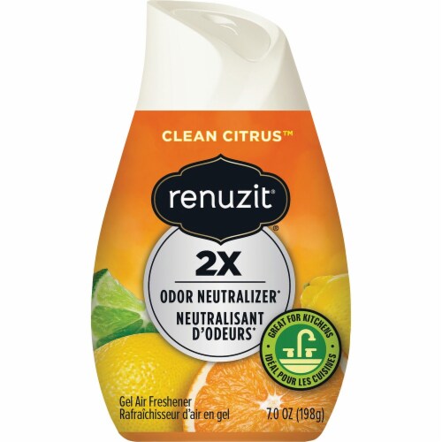 Renuzit® Clean Citrus Pet™ Gel Air Freshener Perspective: front
