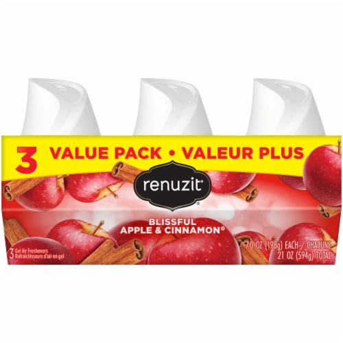Renuzit Blissful Apple & Cinnamon Gel Air Fresheners Perspective: front