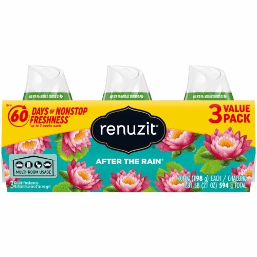 Renuzit® After the Rain Gel Air Fresheners Value Pack Perspective: front