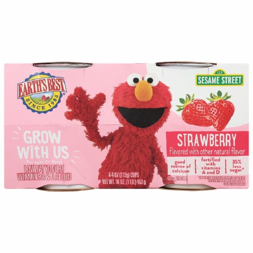 Earth's Best Strawberry Low Fat Yogurt Pouches Perspective: front