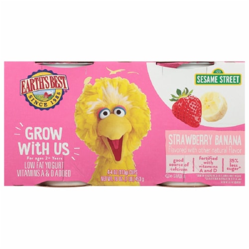 Earth's Best Strawberry Banana Low Fat Yogurt Pouches Perspective: front