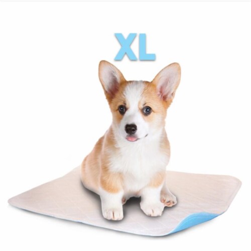 Pet pad store reviews