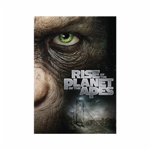 Rise of the Planet of the Apes (2011 - DVD) Perspective: front