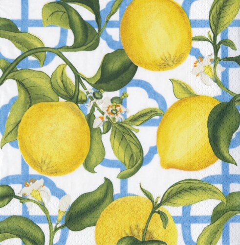 Caspari Lemon Themed Paper Napkins - Yellow/Blue/Green Perspective: front