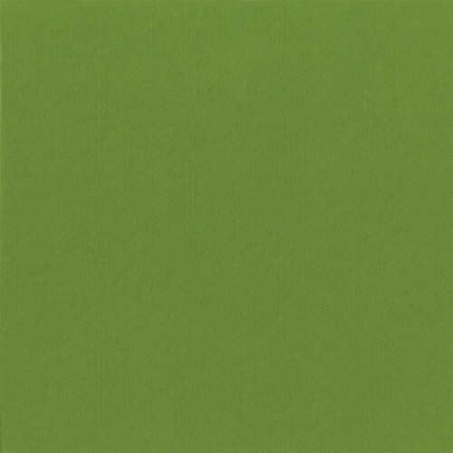 Caspari  Paper Linen Cocktail Napkin Moss Green Perspective: front