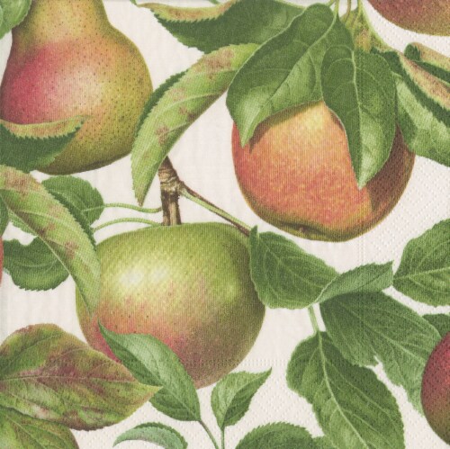 Caspari Apple Orchard Paper Napkins Perspective: front