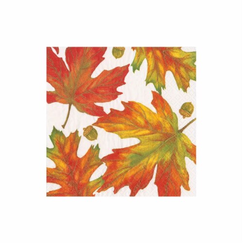 Caspari Autumn Hues Paper Napkins Perspective: front