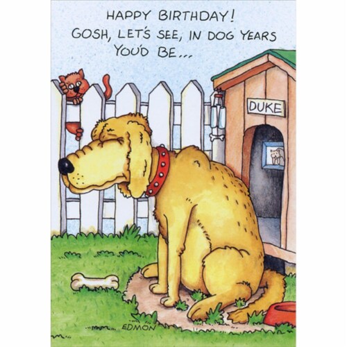 Oatmeal Studios In Dog Years Funny / Humorous Birthday Card Perspective: front