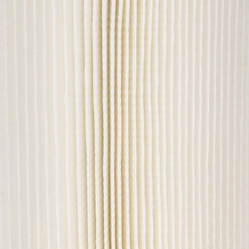 Shop-Vac Cartridge Filter Perspective: front