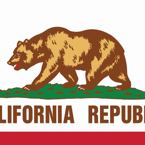 Annin Flagmakers California State Flag Perspective: front