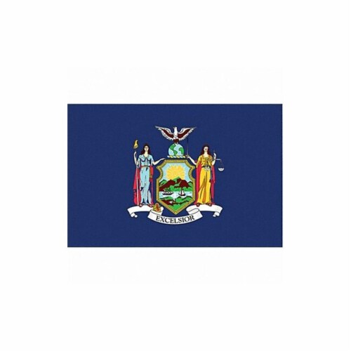 Annin Flags Nylon SolarGaurd New York State Flag Perspective: front