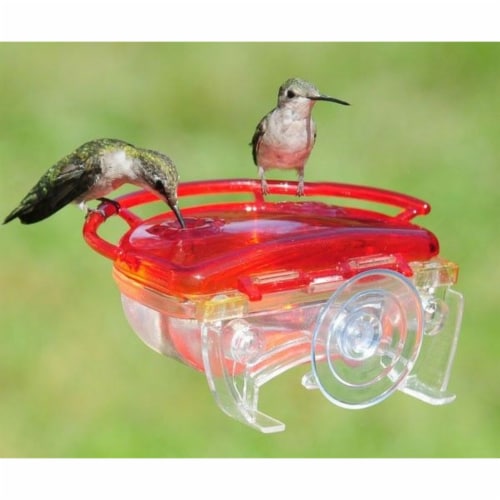 Aspects ASPECTS437 The Gem Window Hummingbird Feeder Perspective: front