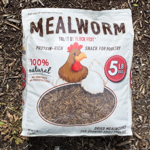 FLOCK FEST DRIED MEALWORMS ADULT POULTRY TREATS, 5-LB BAG, 1 COUNT Perspective: front