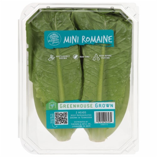 Hydro Mini Romaine Lettuce Heads Perspective: front