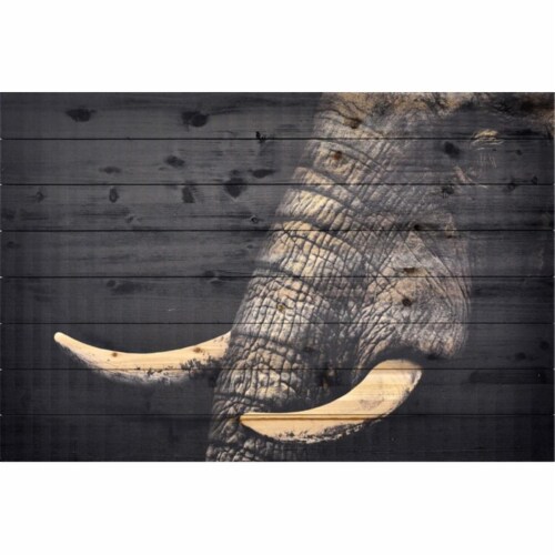 Empire Art Arte De Legno - Elephant Perspective: front
