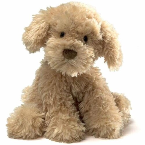 gund nayla cockapoo