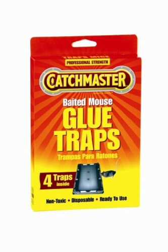 Catchmaster Glue Trap,5-1/4 In. L,3-1/2 In. W,PK4  104 Perspective: front