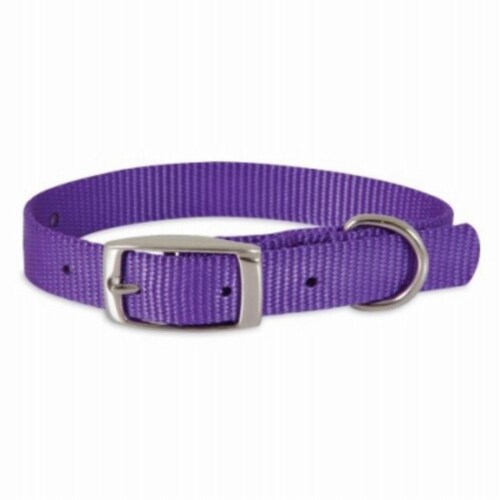 Petmate 274166 1 x 18 22 in. Dog Collar Purple 1 Ralphs