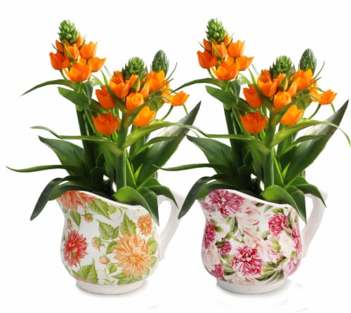 Floral Pitcher Asst Sunstar Perspective: front