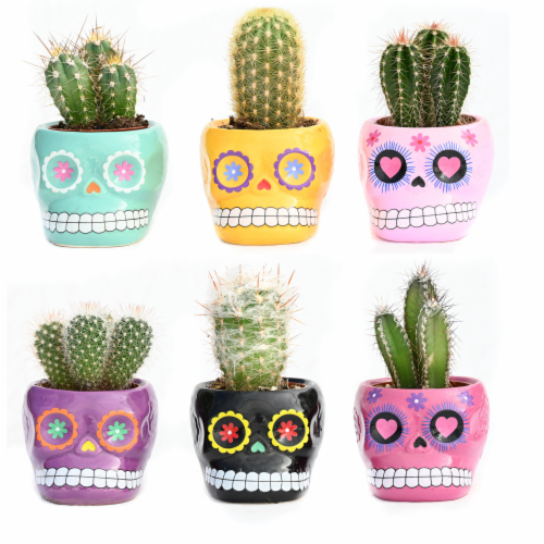 Rocket Farms Dia de los Muertos Ceramic with Cactus Perspective: front
