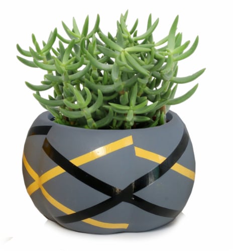 Succulent in Ceramic Gourd Pot Perspective: front