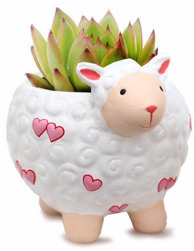 Succulent in Ceramic Mad For Ewe Sheep Vase Perspective: front