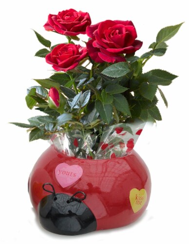 Love Bug Vase with Rose Perspective: front