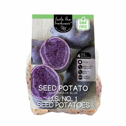 Seed Potato Adirondack - Blue Perspective: front