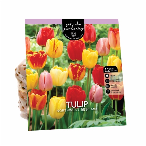 Get Into Gardening Tulip Northwest Best Mixed Perspective: front