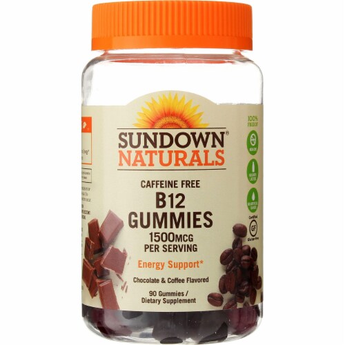 Sundown Naturals Vitamin B-12 Gummies, Chocolate & Coffee, 1500 mcg, 90 Ct Perspective: front