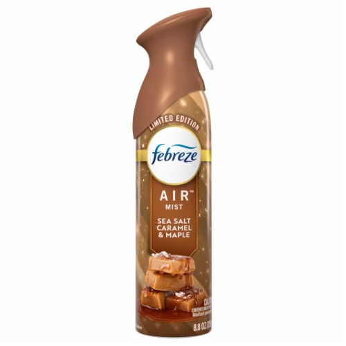 Febreze Air™ Mist Sea Salt Caramel & Maple Odor-Fighting Room Spray Perspective: front